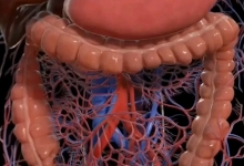 Medicina Neconventionala Alternativa Iasi Biorezonanta Medicina Alternativa Iasi - BioPlantPharma