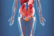 Medicina Neconventionala Alternativa Iasi Biorezonanta Medicina Alternativa Iasi - BioPlantPharma