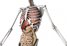 Medicina Neconventionala Alternativa Iasi Biorezonanta Medicina Alternativa Iasi - BioPlantPharma
