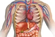 Medicina Neconventionala Alternativa Iasi Biorezonanta Medicina Alternativa Iasi - BioPlantPharma