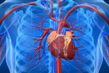 Medicina Neconventionala Alternativa Iasi Biorezonanta Medicina Alternativa Iasi - BioPlantPharma