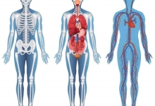 Medicina Neconventionala Alternativa Iasi Biorezonanta Medicina Alternativa Iasi - BioPlantPharma