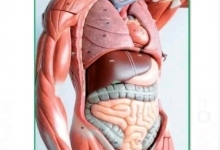 Medicina Neconventionala Alternativa Iasi Biorezonanta Medicina Alternativa Iasi - BioPlantPharma