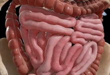 Medicina Neconventionala Alternativa Iasi Biorezonanta Medicina Alternativa Iasi - BioPlantPharma