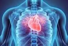 Medicina Neconventionala Alternativa Suceava Biorezonanta Medicina Alternativa Suceava - BioPlantPharma