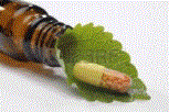 Medicina Neconventionala Alternativa Bistrita Medic Homeopat Bistrita